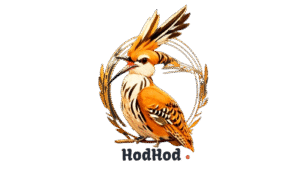 دورة جديدة